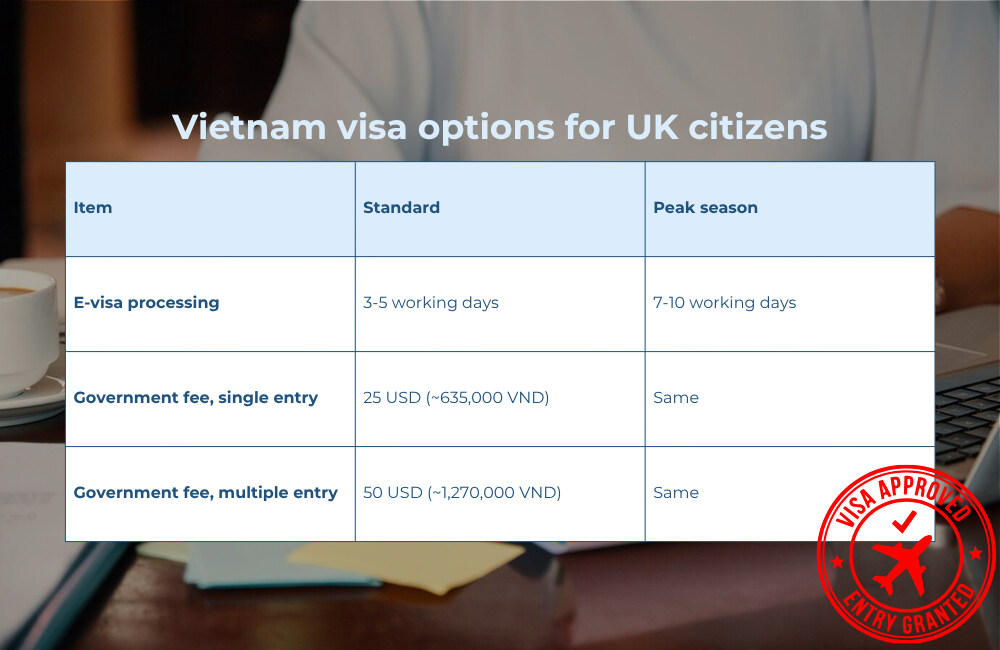  E-visa processing time and government fees comparison table 