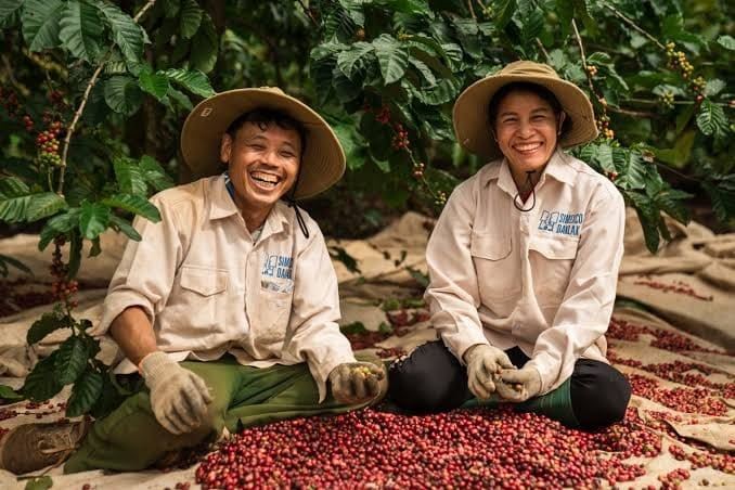 Buon Ma Thuot: the coffee museum nobody explains and how to reach the waterfalls without a tour