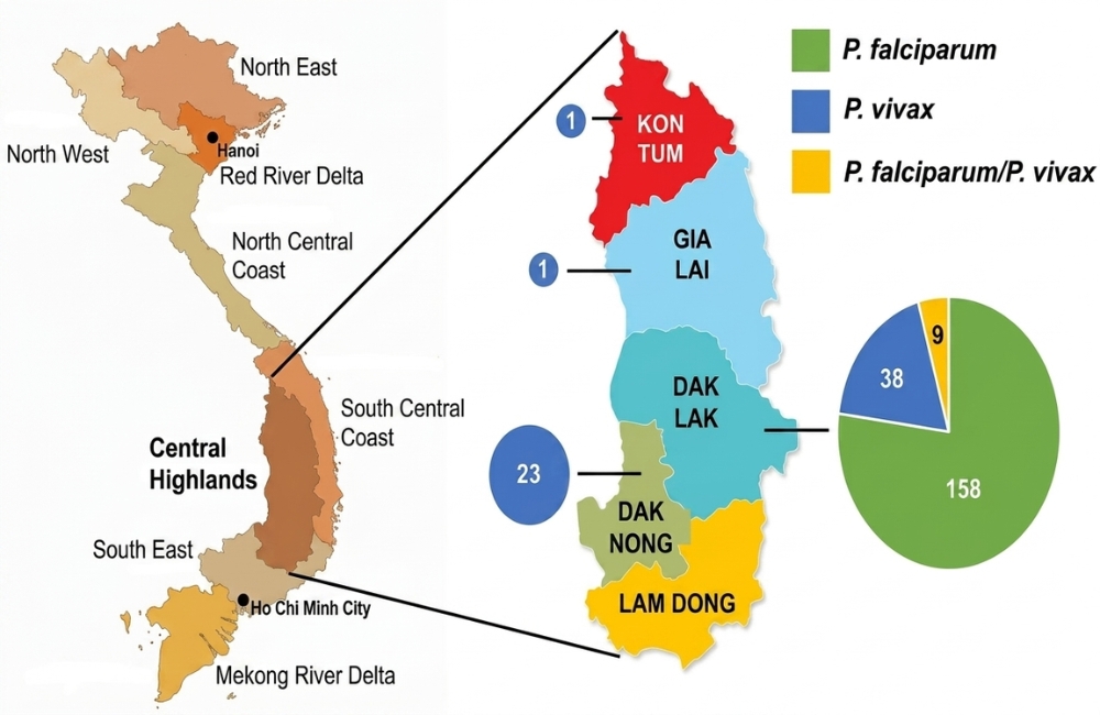 Malaria map for tourists