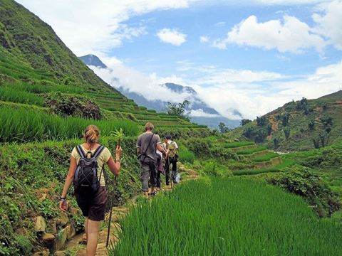 Day 3: Trek through the terraces to Lao Chai and Ta Van, then back to Hanoi