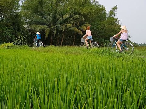 Day 4: Hoi An by bicycle: the countryside, basket boats at Cam Thanh and fishing with the villagers