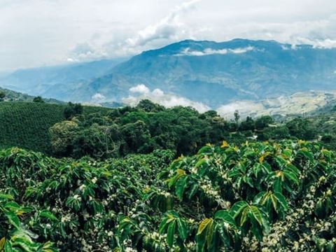 Day 3: West from Hanoi on National Road 6 into the coffee country of Son La