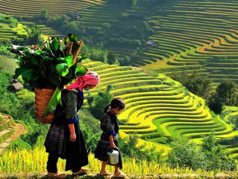 Day 4: Sapa valley trek of 12 km: Y Linh Ho, Lao Chai and a homestay night in Ta Van