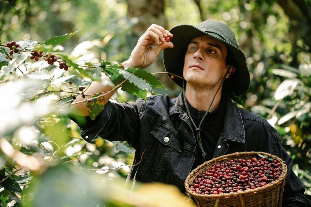 Vietnam Coffee Tour: Hanoi, Ha Long Bay and Son La Farms in 5 Days