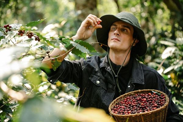 Vietnam Coffee Tour: Hanoi, Ha Long Bay and Son La Farms in 5 Days