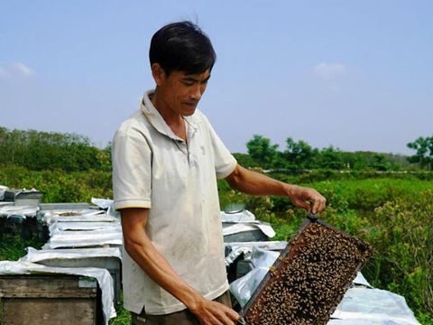 Day 3: Mekong Delta day: a boat past the four islands, a rowed sampan on Thoi Son, a bee farm and the coconut candy kitchens