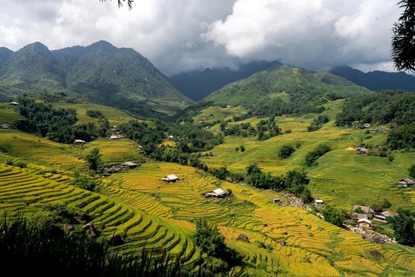 North Vietnam 8 Days: Hanoi, Ha Long Bay and Two Sapa Treks