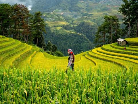 Day 1: Hanoi to Sapa: the road north into the mountains