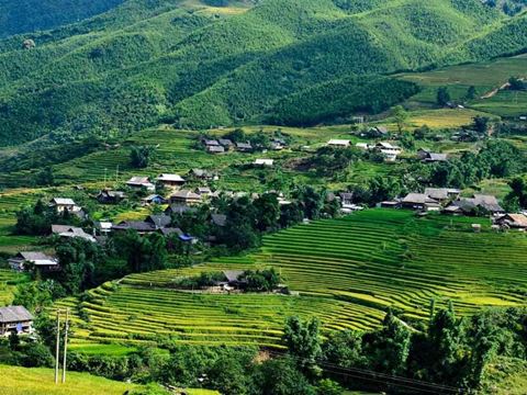Day 3: Trek through the terraces to Lao Chai and Ta Van, then back to Hanoi