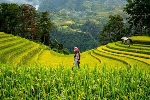 Sapa Trekking Tour: 3 Days from Hanoi with the Fansipan Summit
