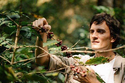Vietnam Coffee Farm Tour: 2 Days Picking and Roasting in Son La