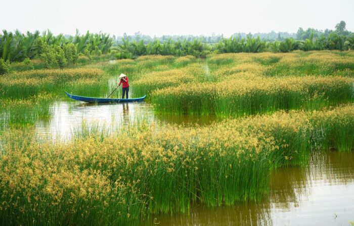 Mekong Delta Tour (Private Tour) - Image 8