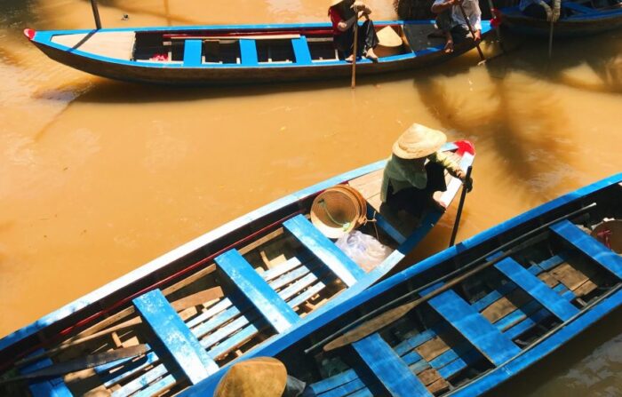 Mekong Delta Tour (Private Tour) - Image 5