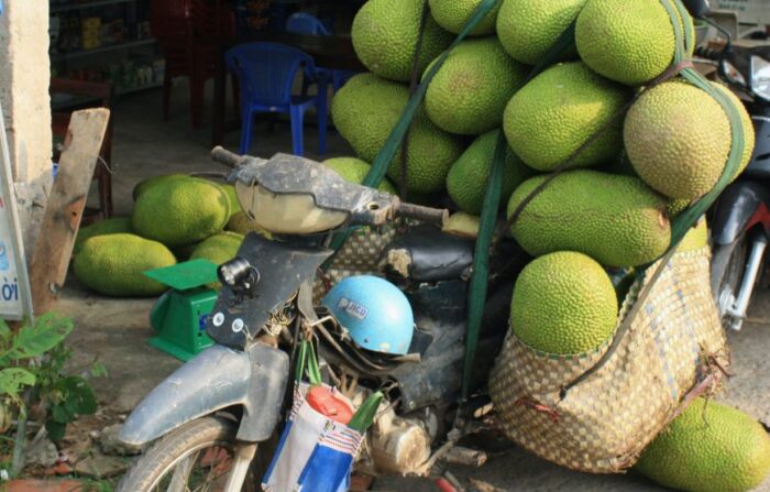 Discover Mekong Delta River 5 Days - Image 7