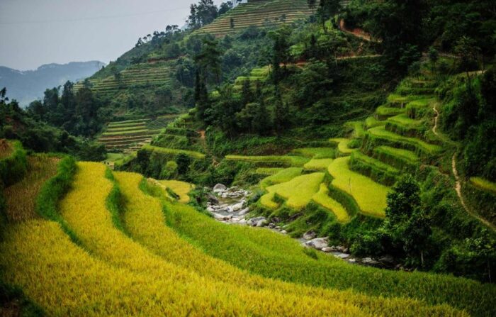 Discover the Highland, Trekking Ha Giang – Hoang Su Phi Lodge - Image 10