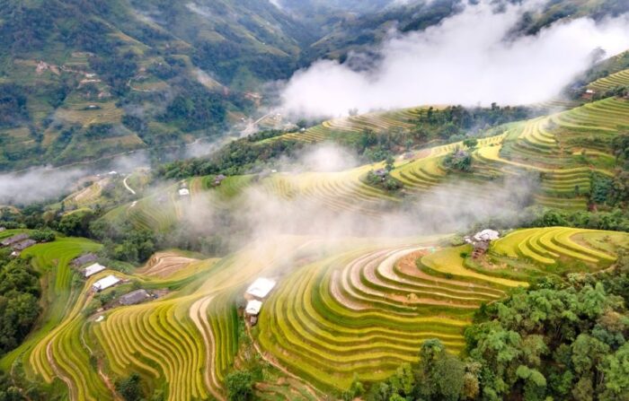 Discover the Highland, Trekking Ha Giang – Hoang Su Phi Lodge - Image 6