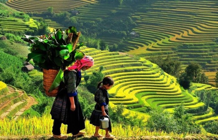 Discover the Highland, Trekking Ha Giang – Hoang Su Phi Lodge